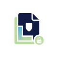 Single-Domain EV Certificate