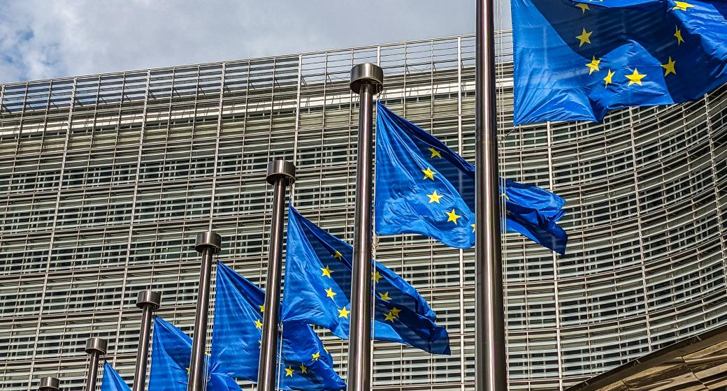 European flag in front of the parlement